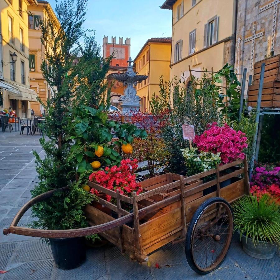 La Casa Di Ciaccia Daire Camaiore Dış mekan fotoğraf