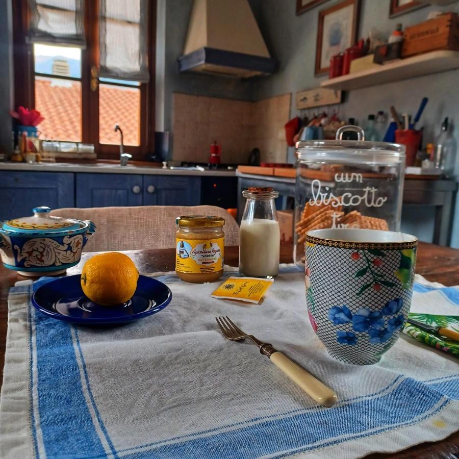 La Casa Di Ciaccia Daire Camaiore Dış mekan fotoğraf