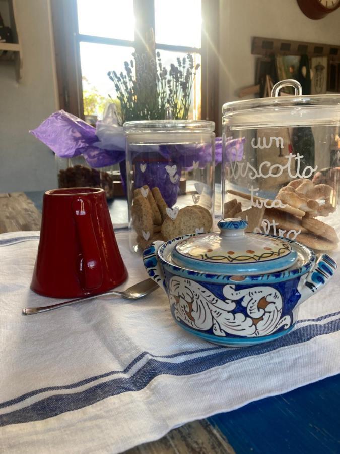 La Casa Di Ciaccia Daire Camaiore Dış mekan fotoğraf